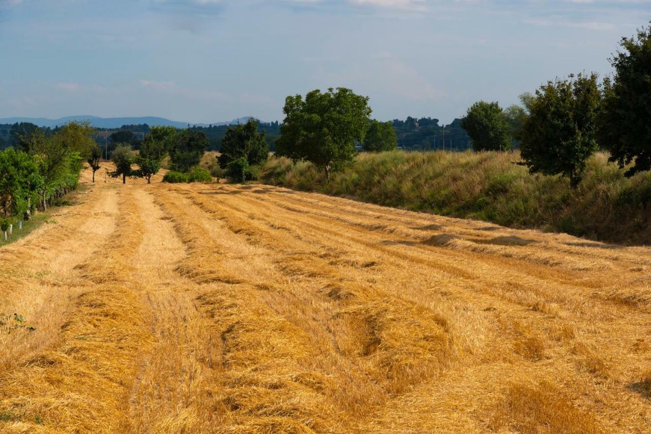 Locazione Turistica Casa Vento Della Toscana Foiano Della Chiana Kültér fotó